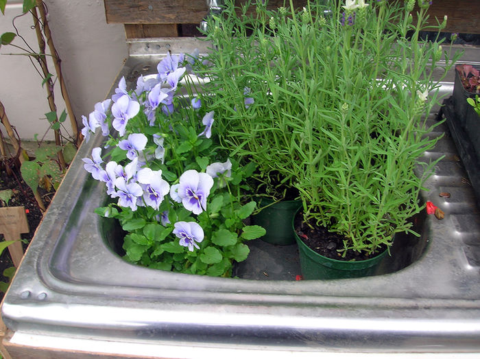 dscn3095 - idei interesante culese de pe net A