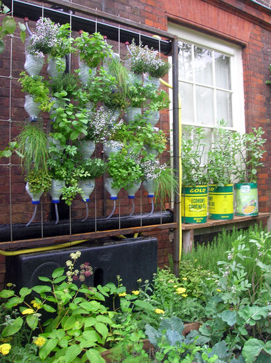 dscn3108 - idei interesante culese de pe net A