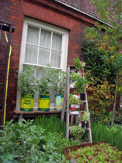 dscn3274 - idei interesante culese de pe net A