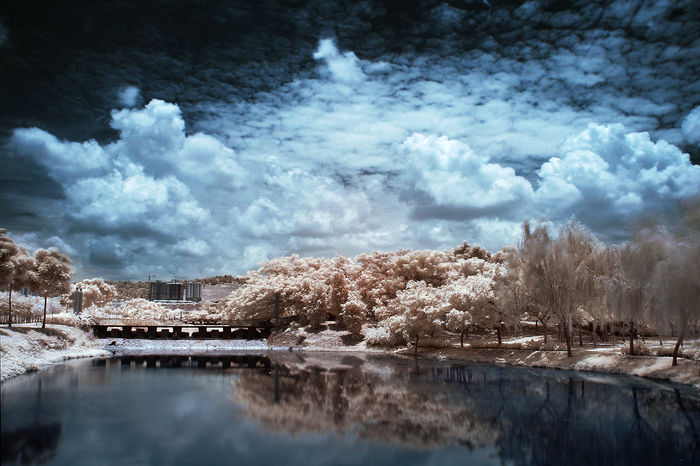 infrared 106 - FOTOGRAFIA IN INFRAROSU