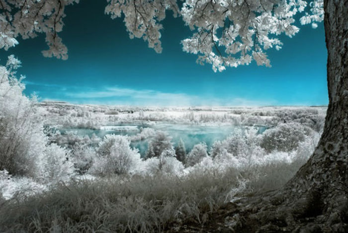 infrared 108 - FOTOGRAFIA IN INFRAROSU