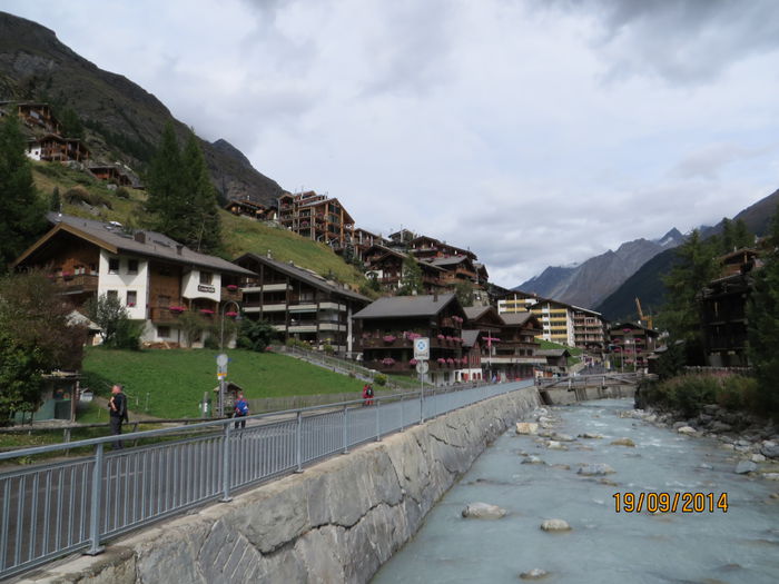 IMG_1501