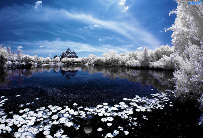 infrared 132 - FOTOGRAFIA IN INFRAROSU