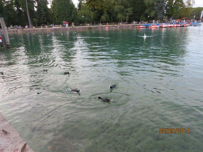 IMG_1790 - Elvetia 2 Annecy_Geneva_Lausanne_ Montreux_Berna