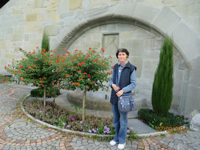 IMG_2124 - Elvetia 2 Annecy_Geneva_Lausanne_ Montreux_Berna