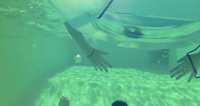 bandicam 2014-09-27 18-25-27-420