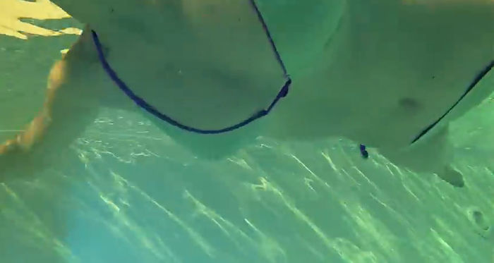 bandicam 2014-09-27 18-25-32-354