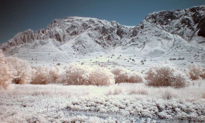 infrared 443 - FOTOGRAFIA IN INFRAROSU