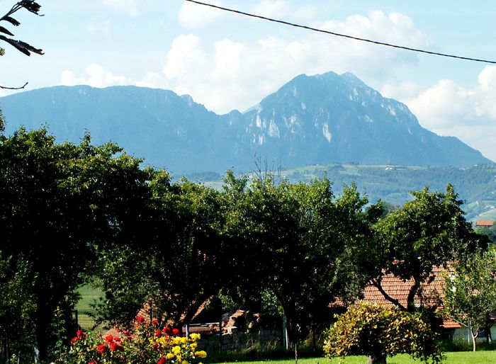 Piatra Craiului Mica - Poiana Marului_in vizita la Damian