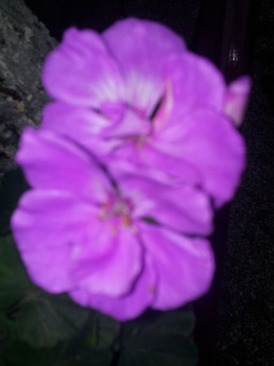 20140921_094230