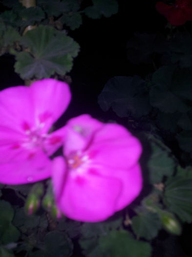 20140921_094257