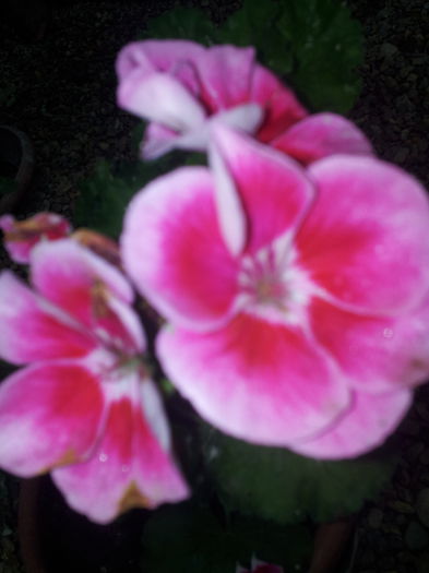 20140921_094320