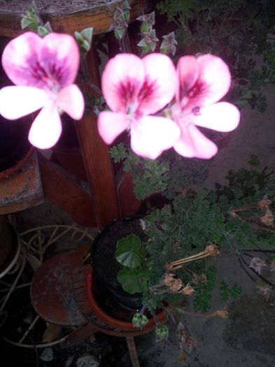 20140921_100603