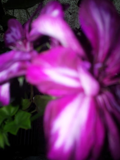 20140921_100656
