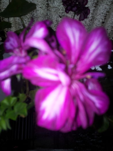 20140921_100701