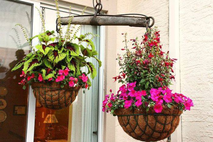 10525863_809189969099729_6759160990516404168_n