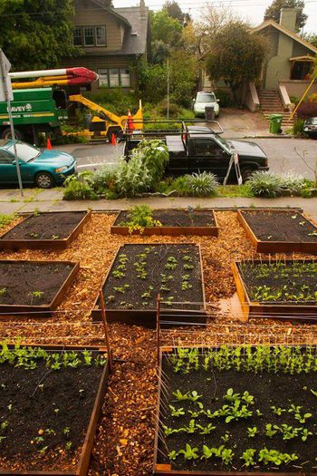 10556255_744856655563752_8011046377092388974_n