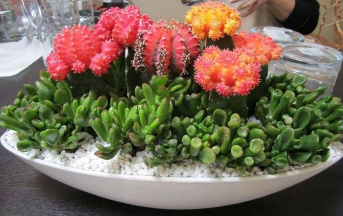 10559212_284350898416714_1762924715_n