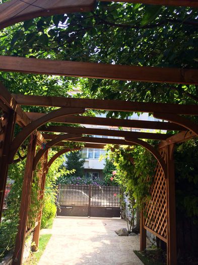 10592802_289164651267217_7866534365752390441_n