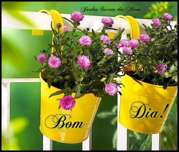 10410926_316682561829747_8456460771887272214_n