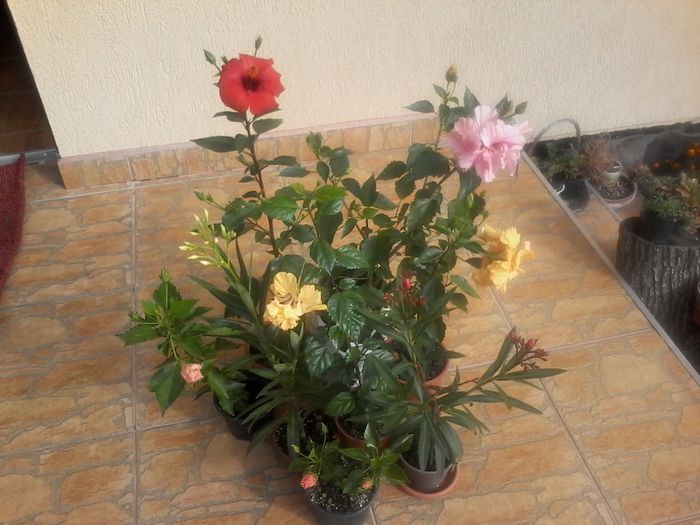 20140928_105946