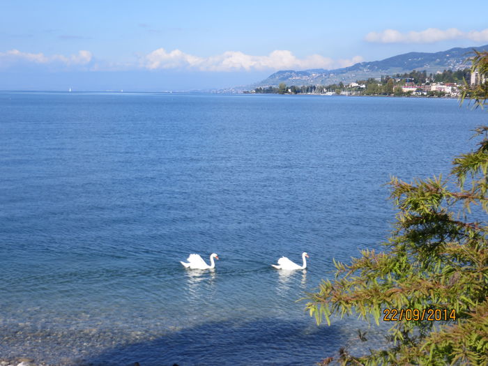 IMG_2199 - Elvetia 2 Annecy_Geneva_Lausanne_ Montreux_Berna