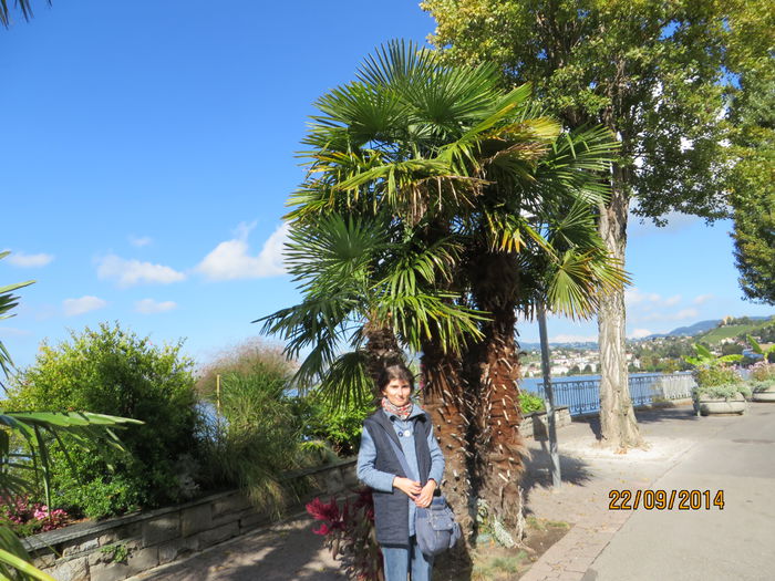 IMG_2202 - Elvetia 2 Annecy_Geneva_Lausanne_ Montreux_Berna