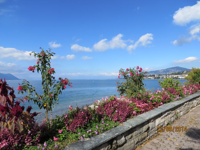 IMG_2206 - Elvetia 2 Annecy_Geneva_Lausanne_ Montreux_Berna