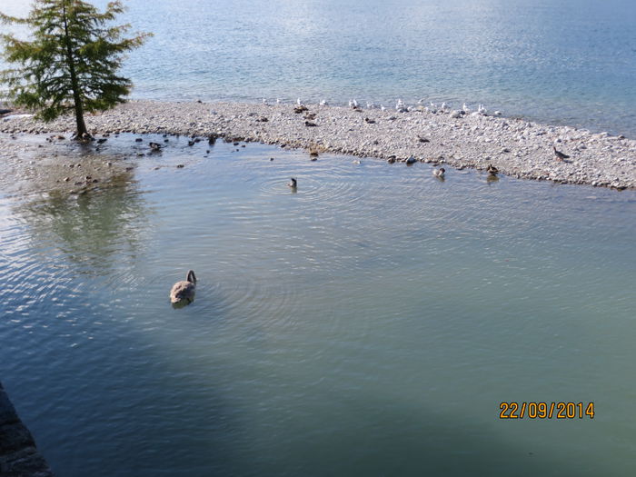 IMG_2216 - Elvetia 2 Annecy_Geneva_Lausanne_ Montreux_Berna