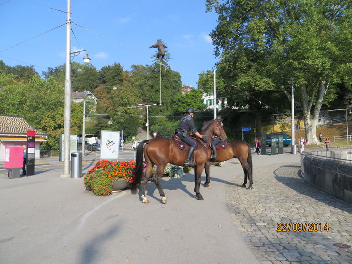 IMG_2329 - Elvetia 2 Annecy_Geneva_Lausanne_ Montreux_Berna