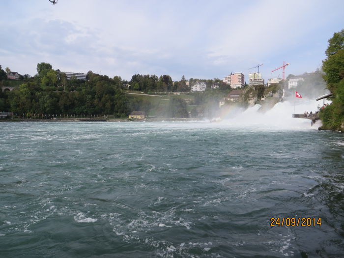 IMG_2717