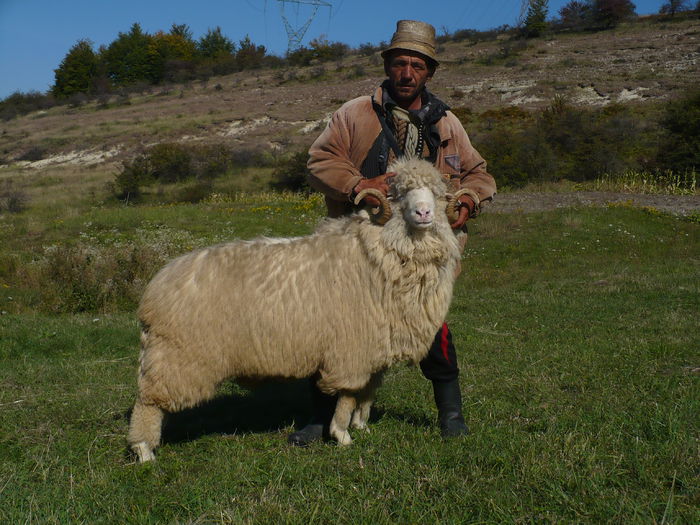 gusti 118; stramior de la edy
