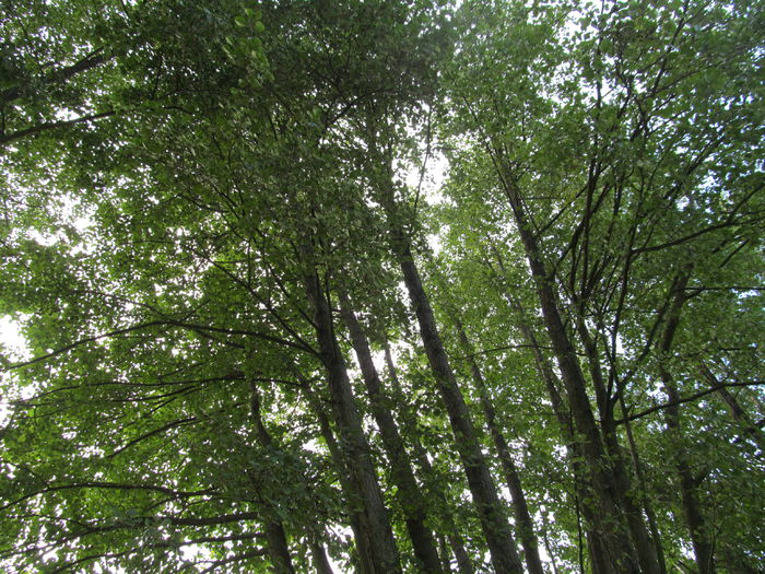  - Diverse 1 - Plimbari