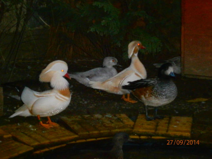 2 MASCULI DE NOTA 10!!!!!!!!!!