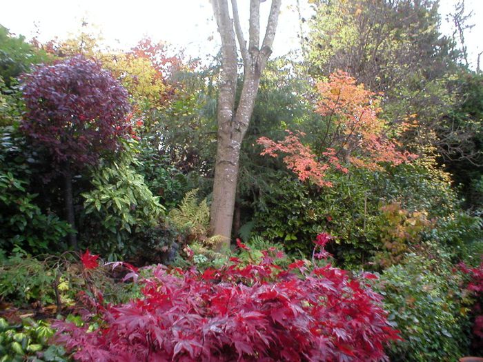 November-6th-2010-Woodland-21