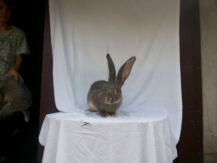 10718994_773426489380873_552879185_n