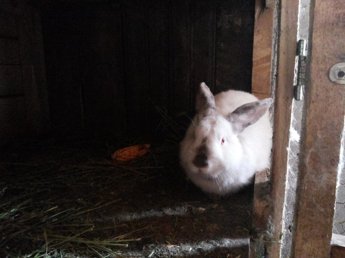 10719358_773432509380271_156977470_n