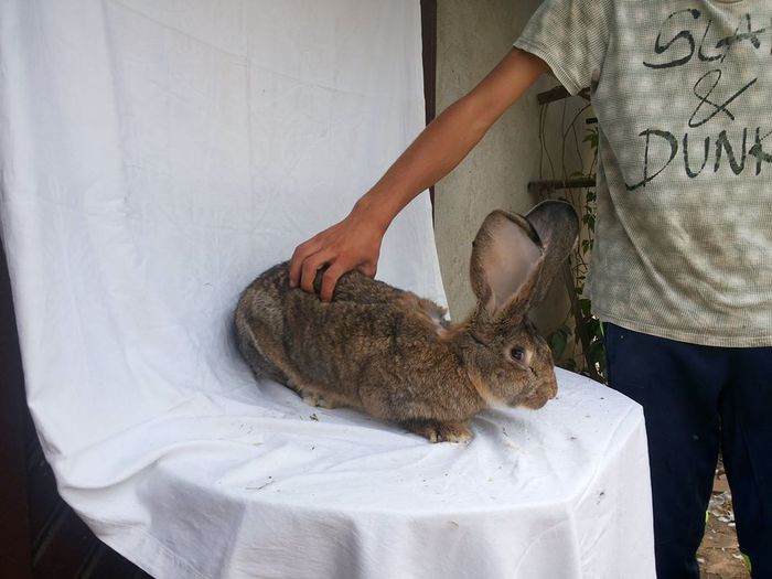 10721022_773429066047282_1773468102_n