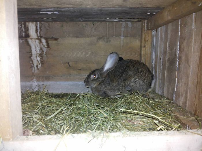 10722285_773429876047201_824804094_o