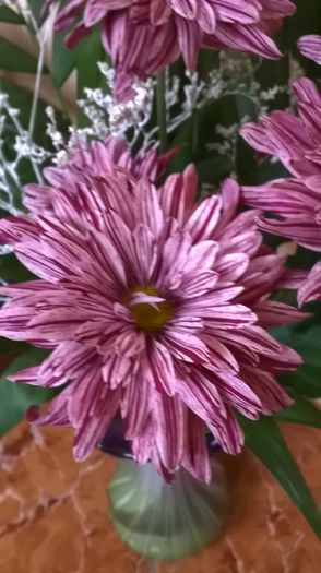 WP_20140920_08_47_47_Pro