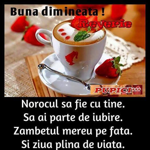 10552565_1458036707784394_1666225932570624011_n - buna dimineata la toti