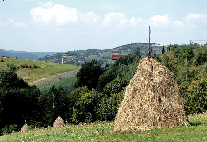 Bucle la Poiana Marului .. - Poiana Marului_in vizita la Damian