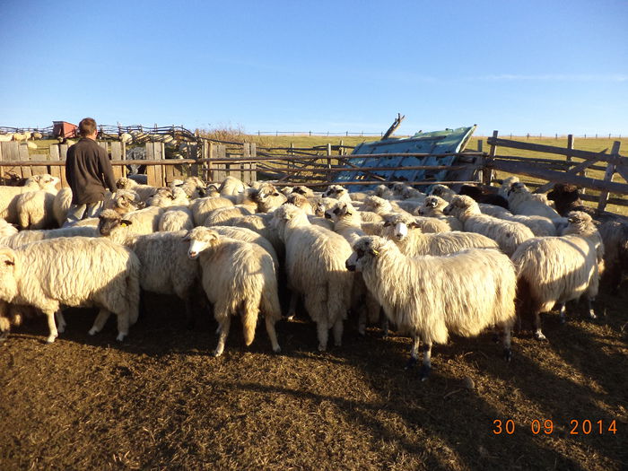 Imediat e gata treaba