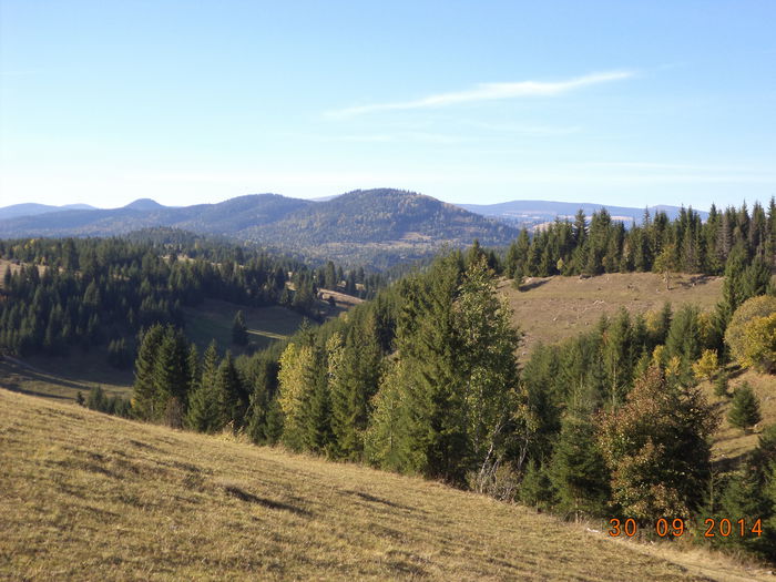 La stana la Pascu Ion