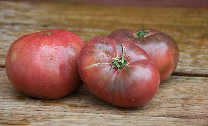 tomate cherokee purple - TOMATE CHEROCHEE PURPLE