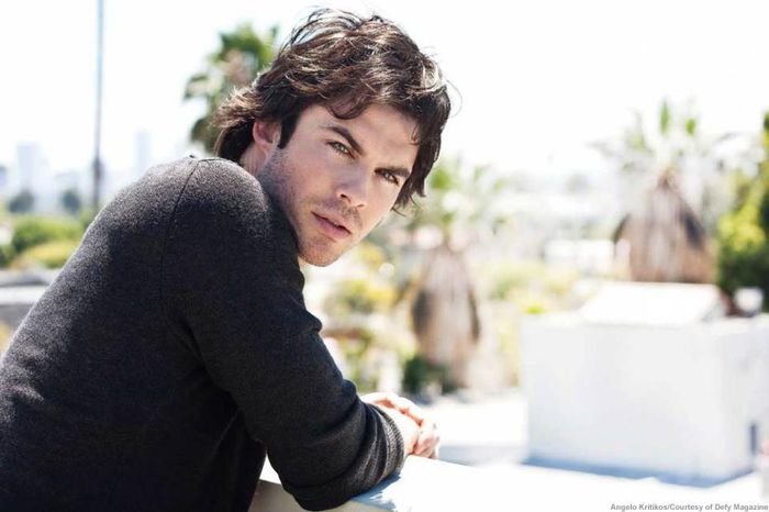 292700_503824172963550_738408680_n