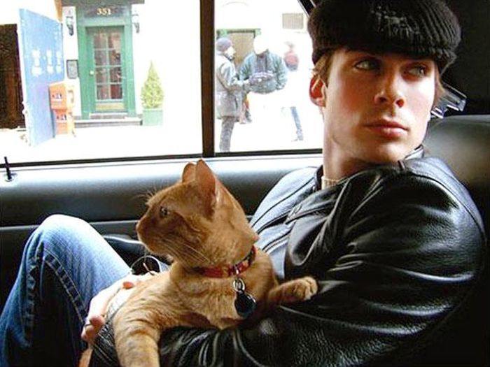 392092_491794780833156_190348899_n