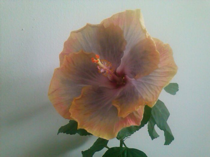 CAM00358