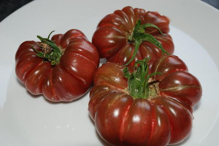 tomate purple calabash - TOMATE PURPLE CALABAS