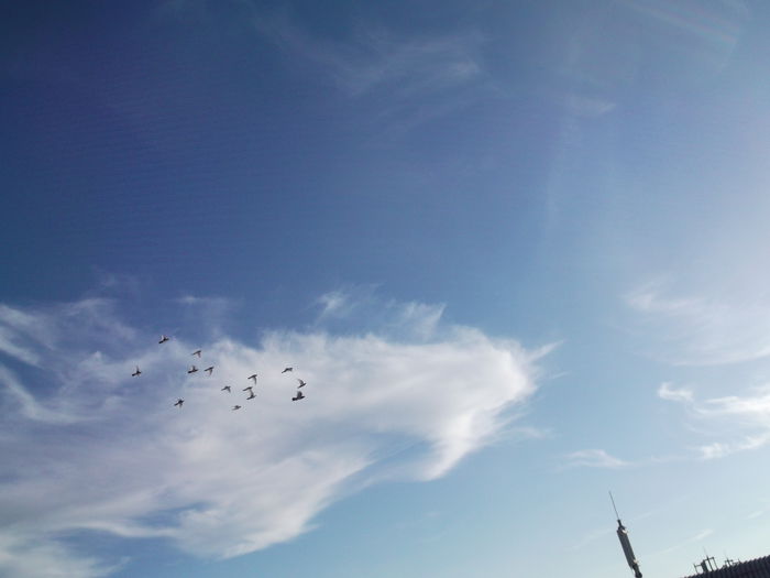 Picture 4023